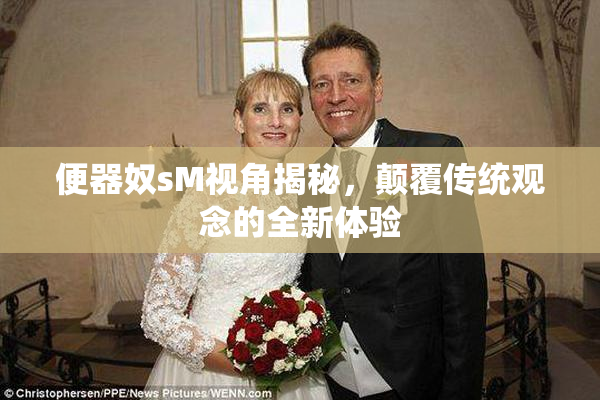 便器奴sM视角揭秘，颠覆传统观念的全新体验