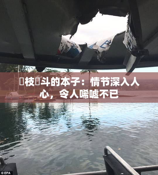 狛枝凪斗的本子：情节深入人心，令人唏嘘不已