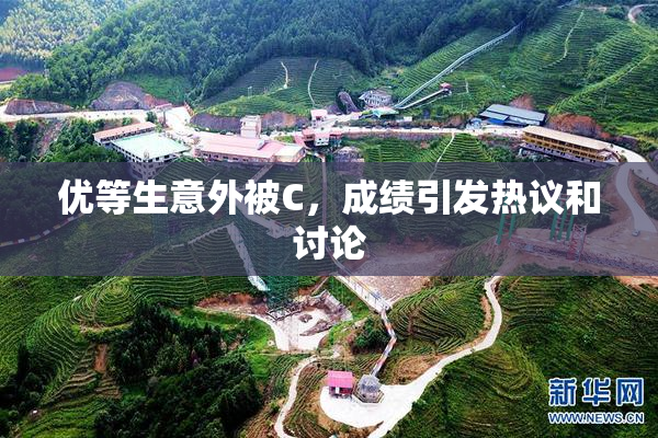 优等生意外被C，成绩引发热议和讨论