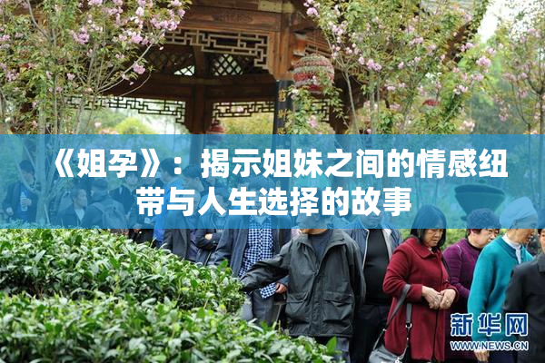《姐孕》：揭示姐妹之间的情感纽带与人生选择的故事