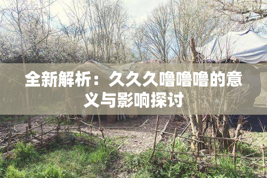 全新解析：久久久噜噜噜的意义与影响探讨