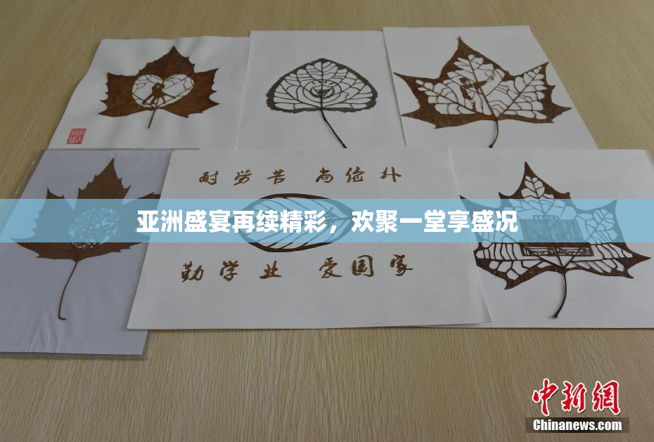 亚洲盛宴再续精彩，欢聚一堂享盛况