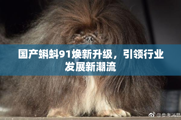 国产蝌蚪91焕新升级，引领行业发展新潮流