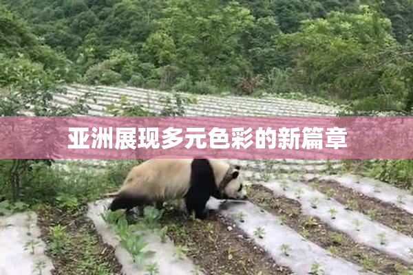 亚洲展现多元色彩的新篇章