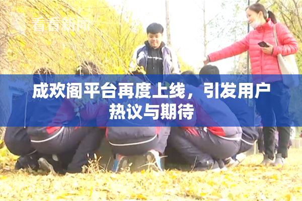 成欢阁平台再度上线，引发用户热议与期待