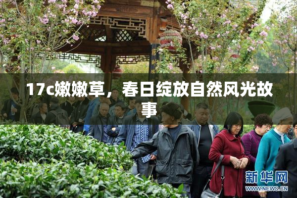 17c嫩嫩草，春日绽放自然风光故事