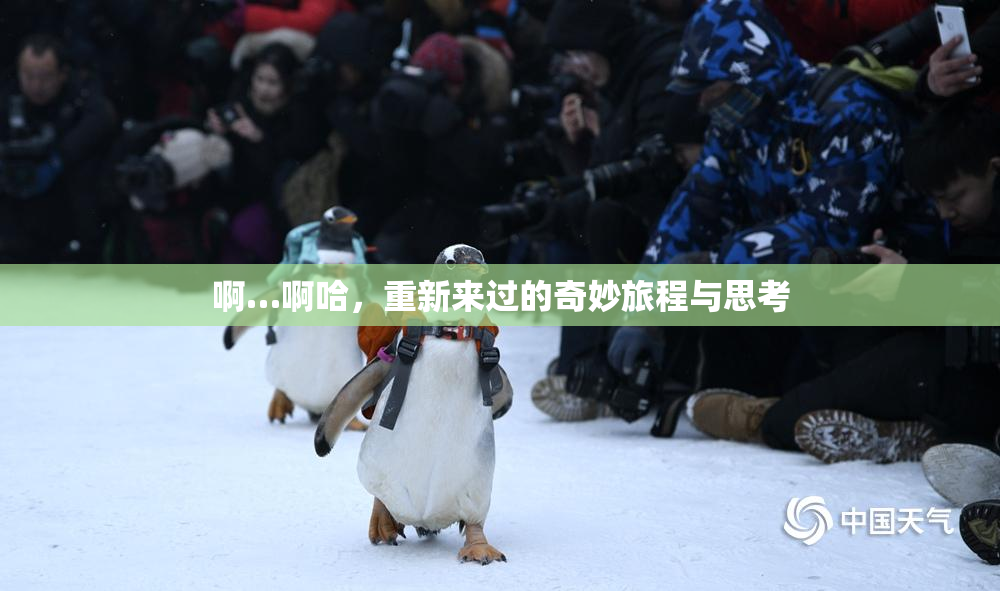 啊…啊哈，重新来过的奇妙旅程与思考