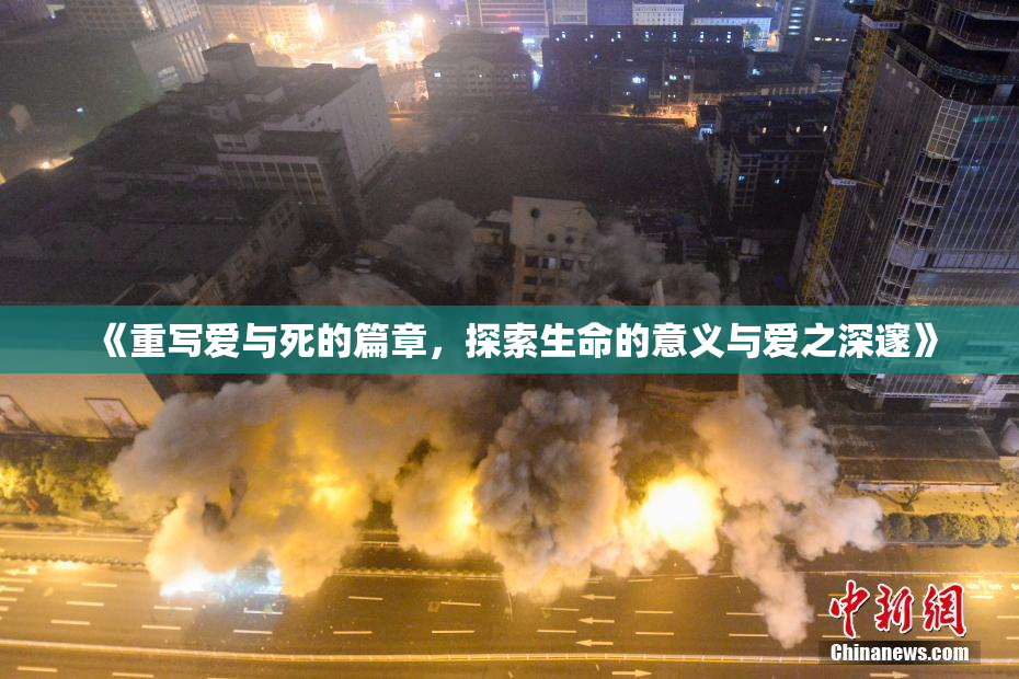 《重写爱与死的篇章，探索生命的意义与爱之深邃》