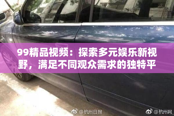 99精品视频：探索多元娱乐新视野，满足不同观众需求的独特平台