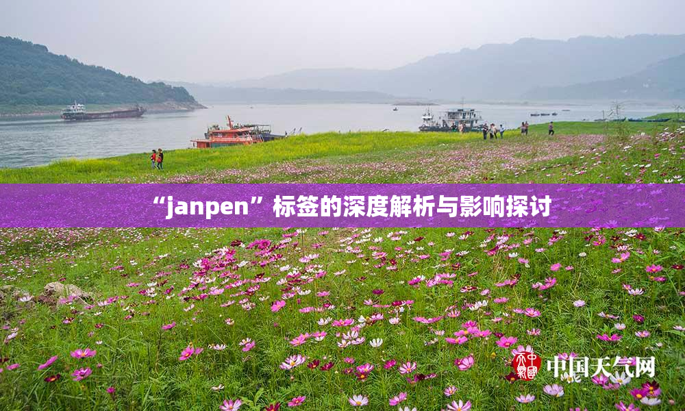 “janpen”标签的深度解析与影响探讨