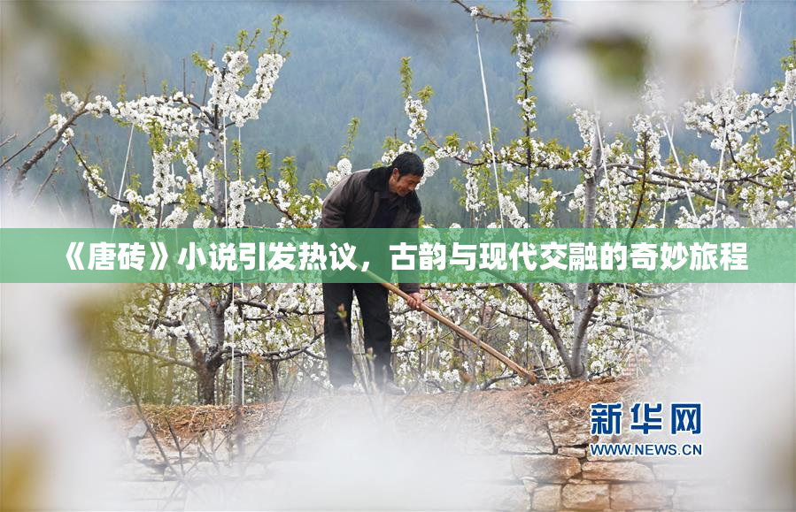 《唐砖》小说引发热议，古韵与现代交融的奇妙旅程