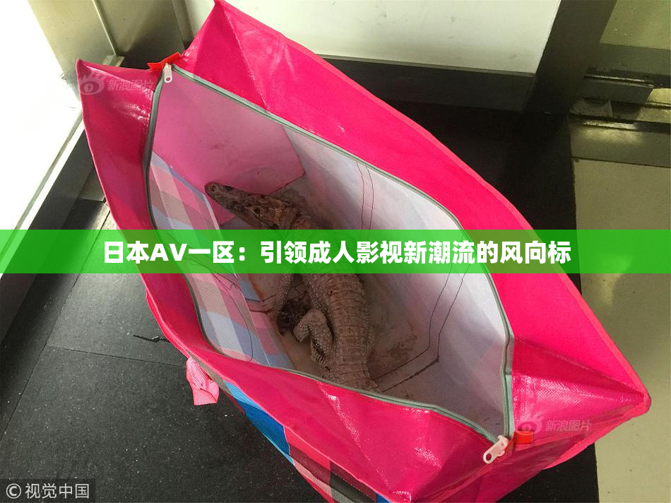 日本AV一区：引领成人影视新潮流的风向标
