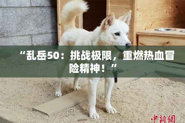 “乱岳50：挑战极限，重燃热血冒险精神！”