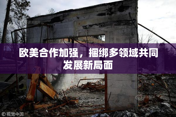 欧美合作加强，捆绑多领域共同发展新局面