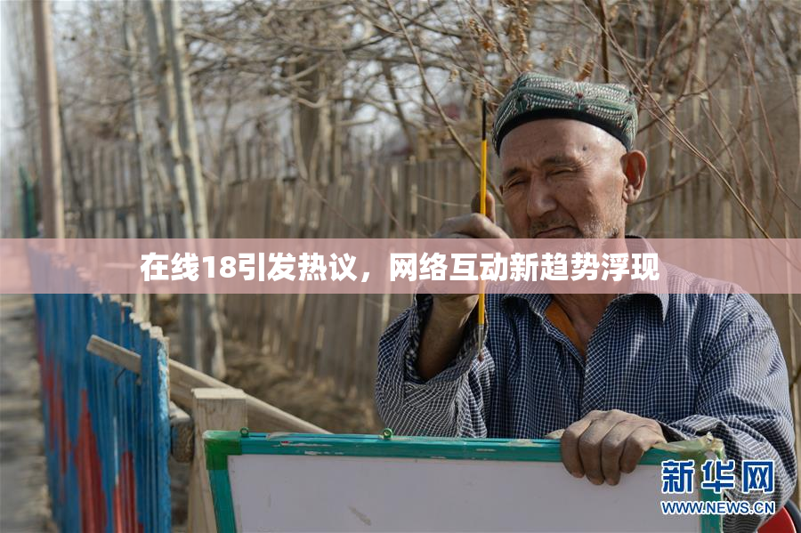 在线18引发热议，网络互动新趋势浮现