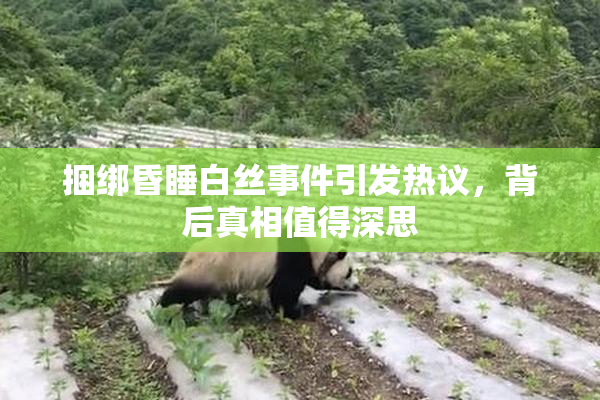 捆绑昏睡白丝事件引发热议，背后真相值得深思