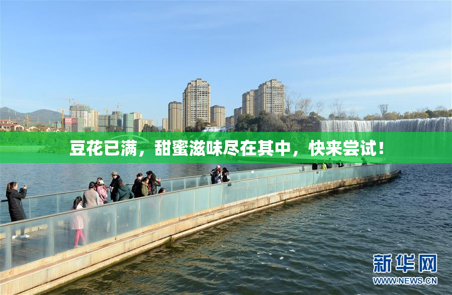豆花已满，甜蜜滋味尽在其中，快来尝试！