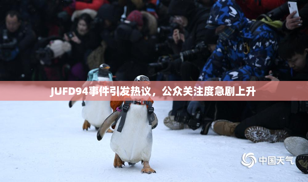JUFD94事件引发热议，公众关注度急剧上升