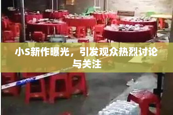 小S新作曝光，引发观众热烈讨论与关注