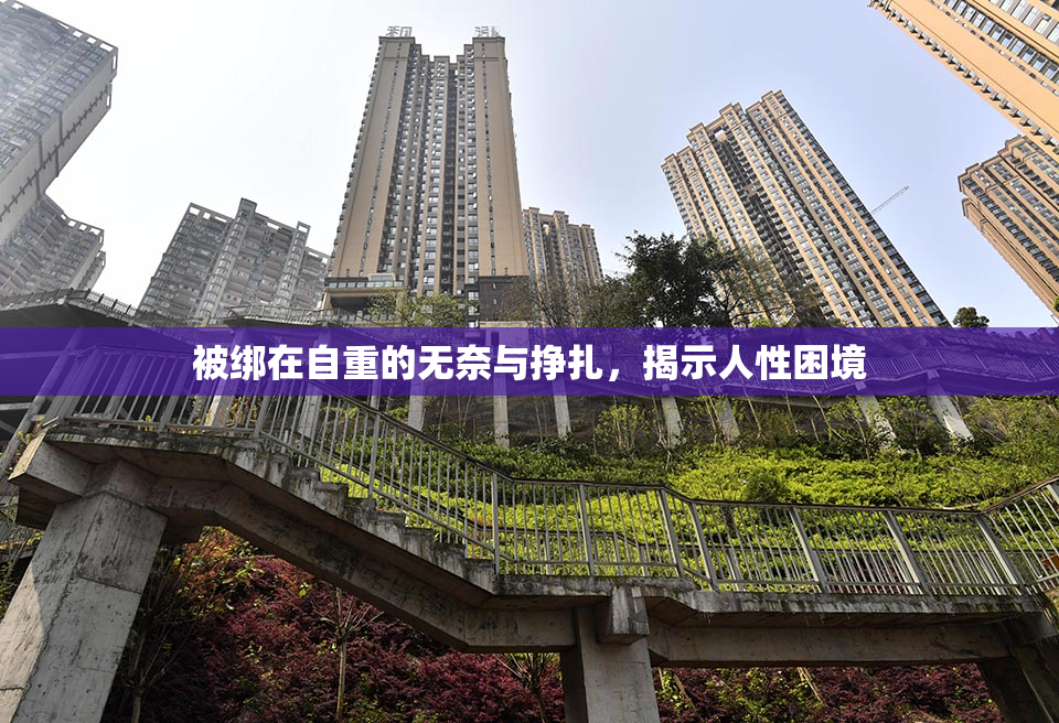 被绑在自重的无奈与挣扎，揭示人性困境