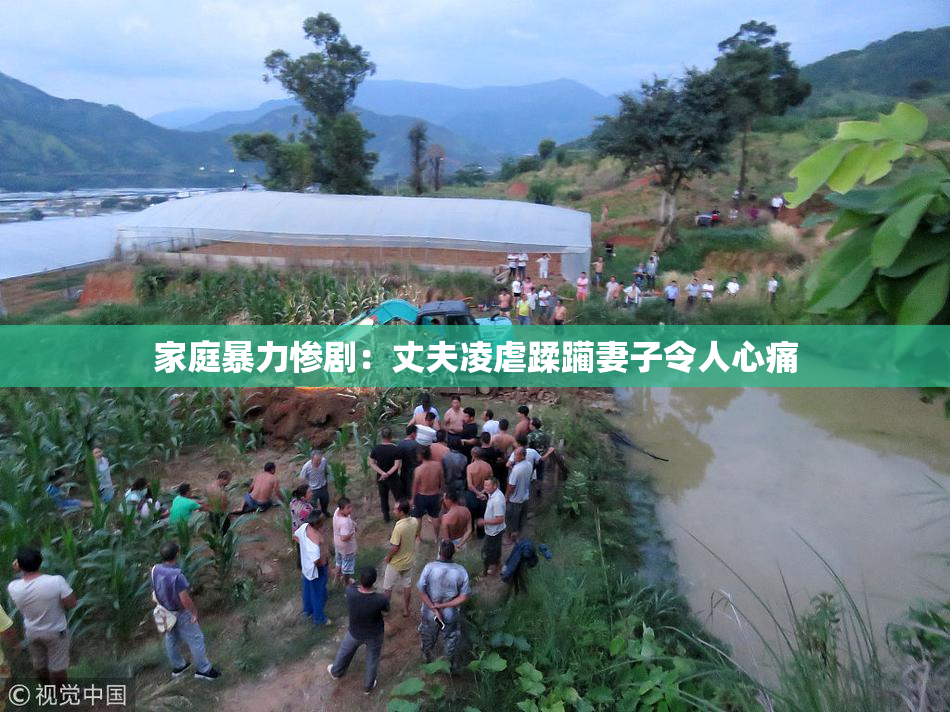 家庭暴力惨剧：丈夫凌虐蹂躏妻子令人心痛