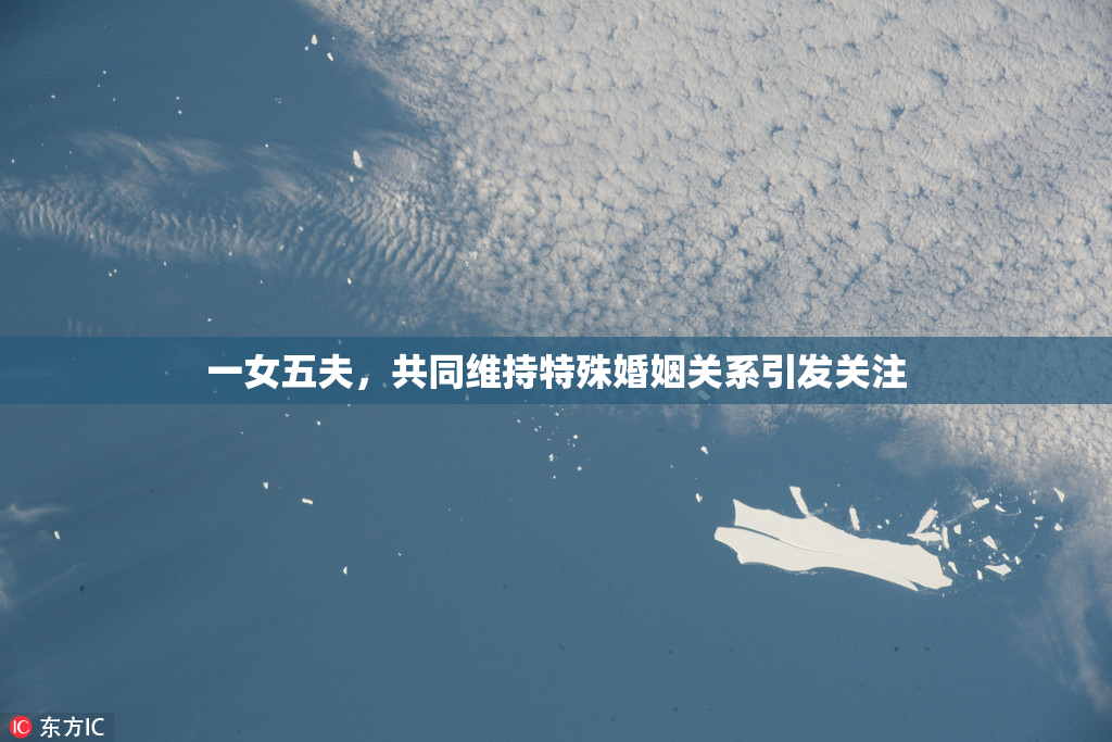 一女五夫，共同维持特殊婚姻关系引发关注