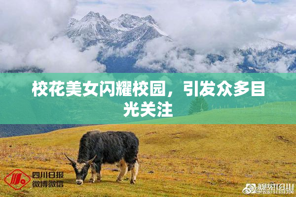 校花美女闪耀校园，引发众多目光关注