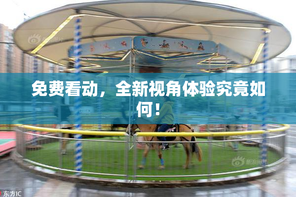 免费看动，全新视角体验究竟如何！
