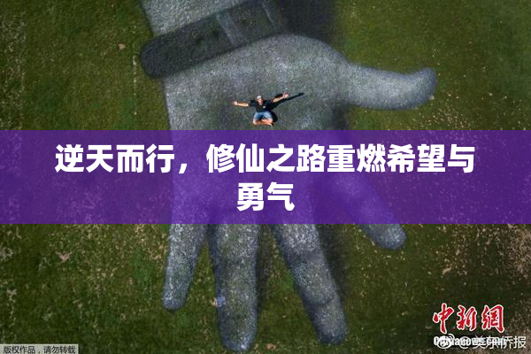 逆天而行，修仙之路重燃希望与勇气