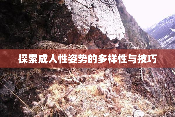 探索成人性姿势的多样性与技巧