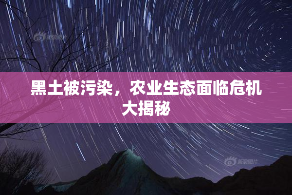 黑土被污染，农业生态面临危机大揭秘