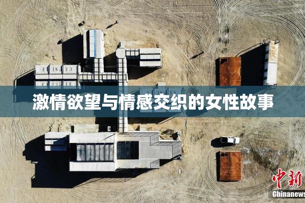 激情欲望与情感交织的女性故事