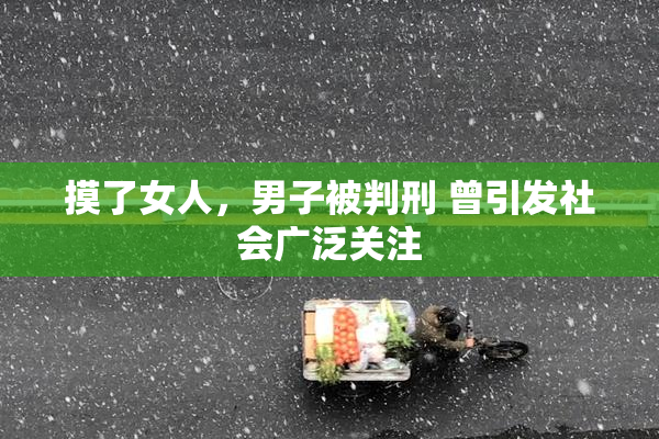 摸了女人，男子被判刑 曾引发社会广泛关注
