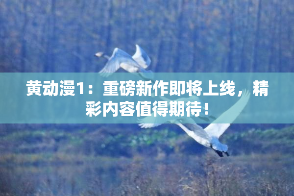 黄动漫1：重磅新作即将上线，精彩内容值得期待！