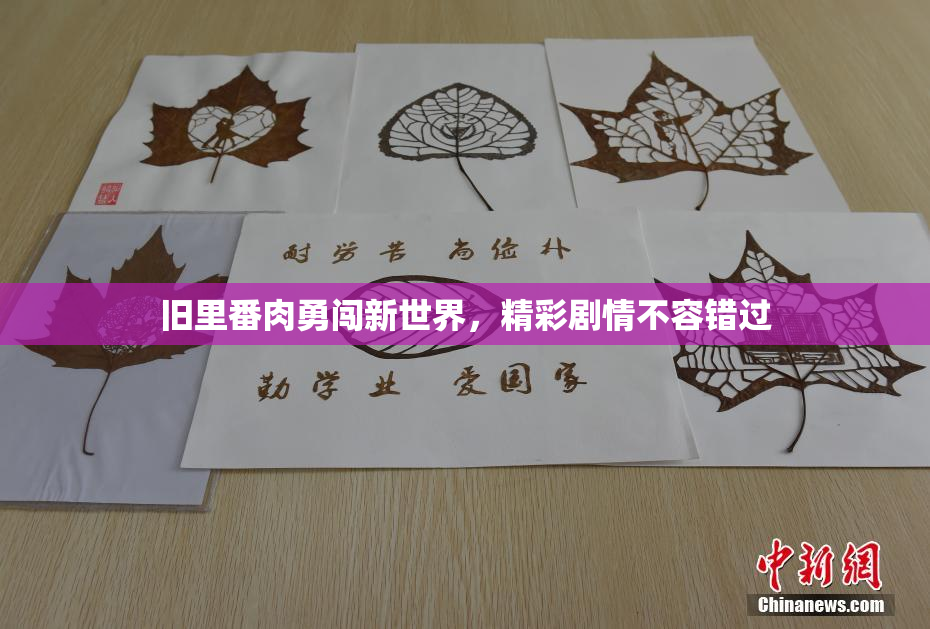 旧里番肉勇闯新世界，精彩剧情不容错过