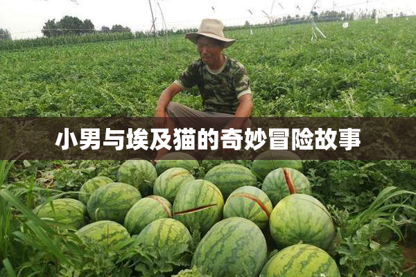 小男与埃及猫的奇妙冒险故事