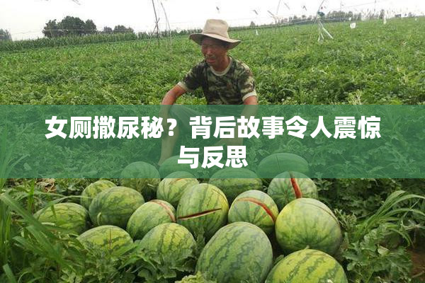 女厕撒尿秘？背后故事令人震惊与反思