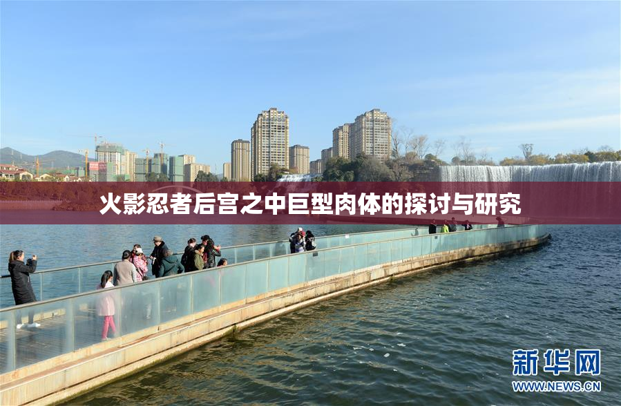 火影忍者后宫之中巨型肉体的探讨与研究