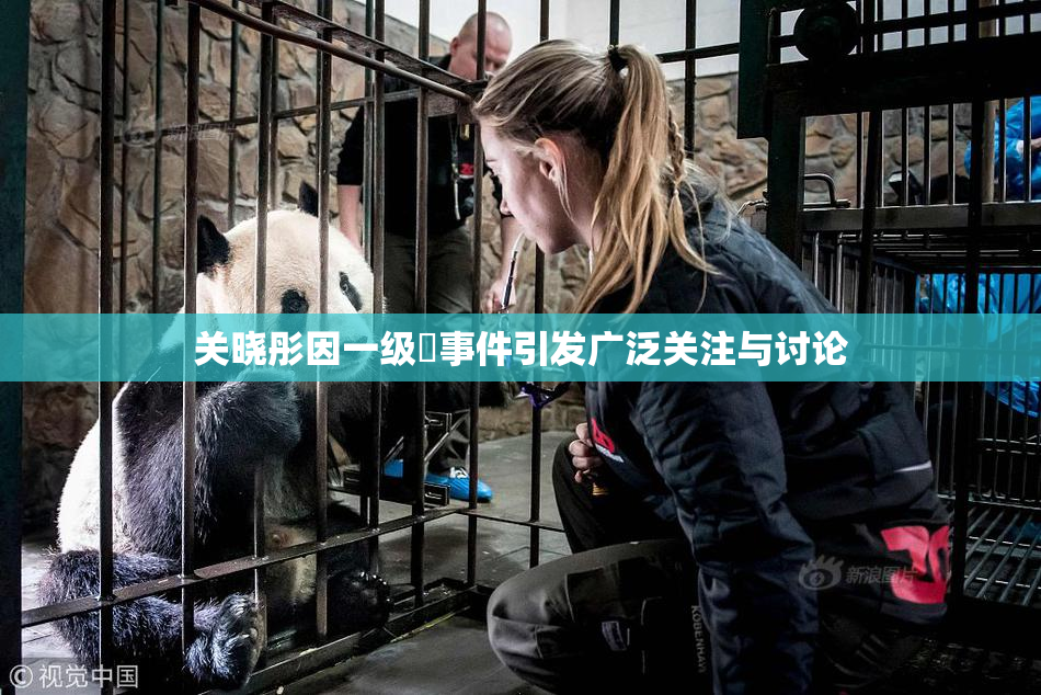 关晓彤因一级婬事件引发广泛关注与讨论