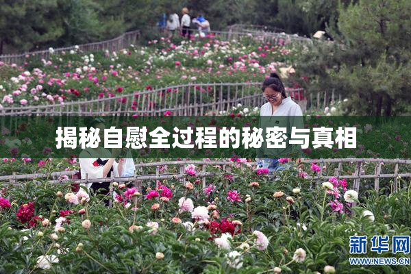 揭秘自慰全过程的秘密与真相