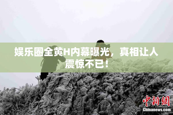 娱乐圈全黄H内幕曝光，真相让人震惊不已！