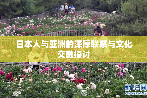 日本人与亚洲的深厚联系与文化交融探讨
