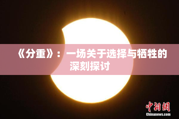 《分重》：一场关于选择与牺牲的深刻探讨