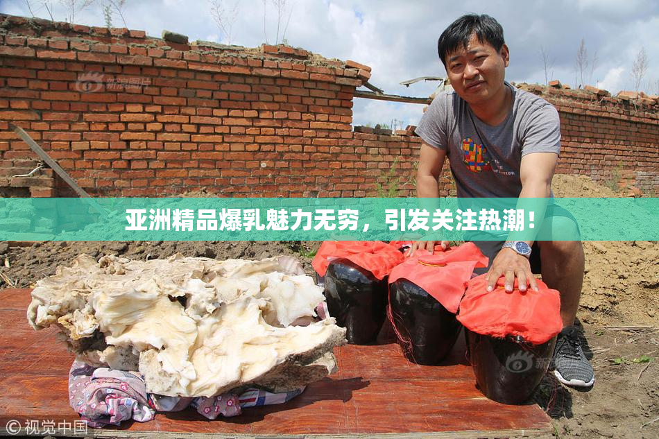 亚洲精品爆乳魅力无穷，引发关注热潮！