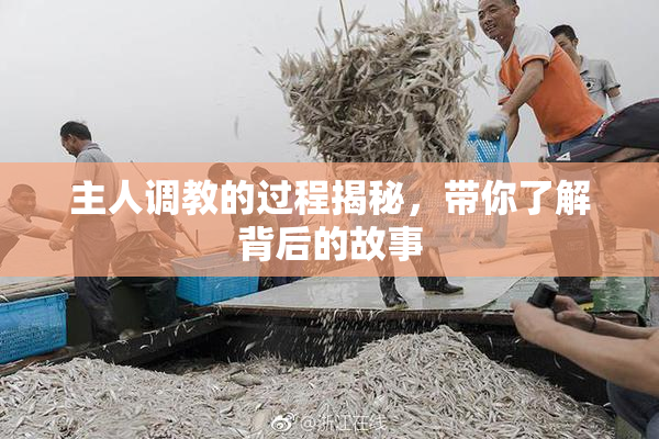 主人调教的过程揭秘，带你了解背后的故事