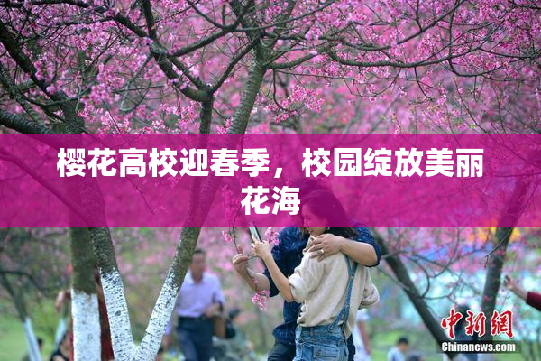 樱花高校迎春季，校园绽放美丽花海