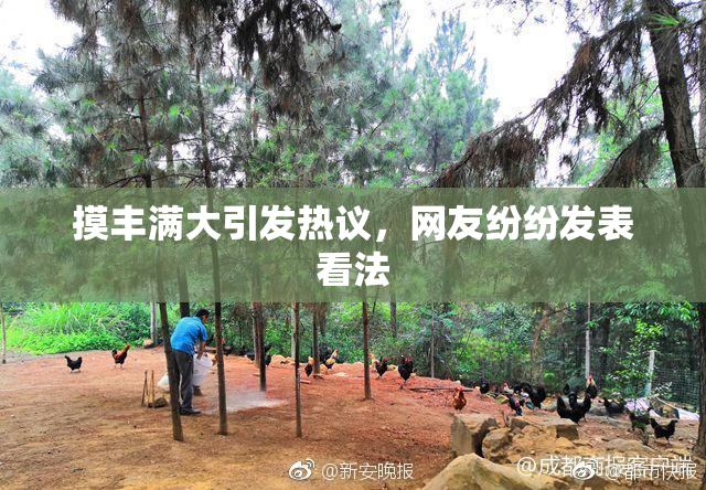 摸丰满大引发热议，网友纷纷发表看法
