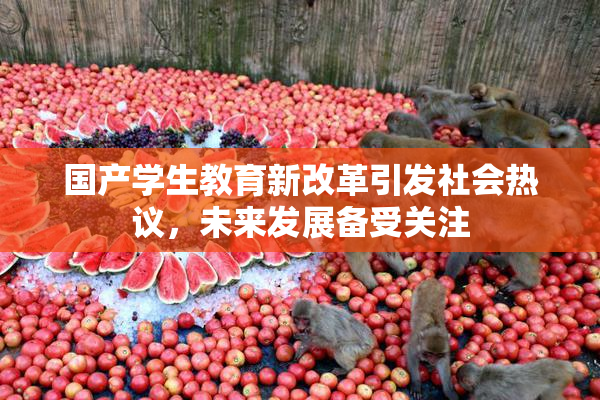 国产学生教育新改革引发社会热议，未来发展备受关注