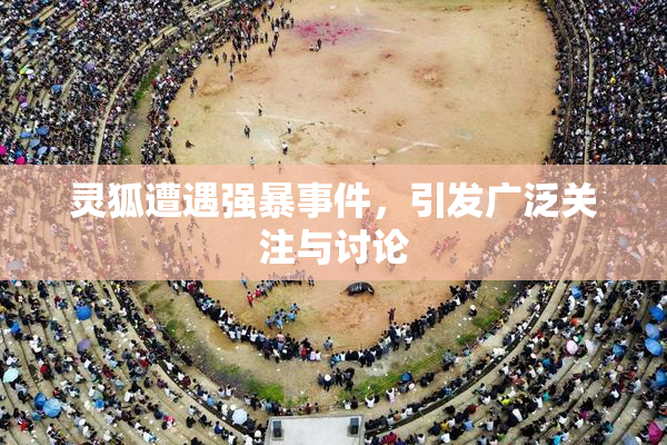 灵狐遭遇强暴事件，引发广泛关注与讨论