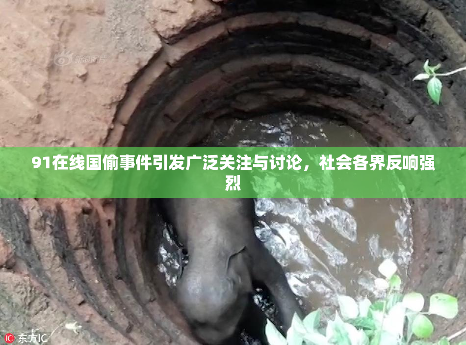91在线国偷事件引发广泛关注与讨论，社会各界反响强烈